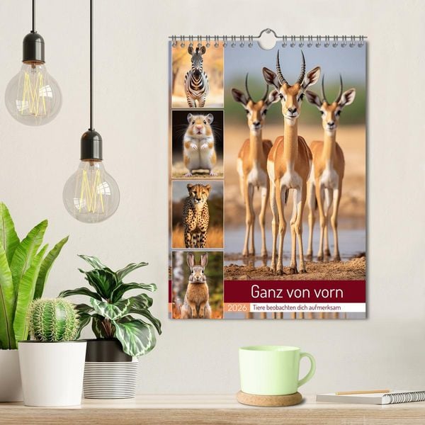 Produktbild: Ganz von vorn (Wandkalender 2026 DIN A4 hoch), CALVENDO Monatskalender