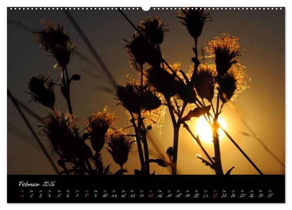 Produktbild: Zeit der Natur - Ein Augenblick zur Ewigkeit (hochwertiger Premium Wandkalender 2026 DIN A2 quer), Kunstdruck in Hochglanz