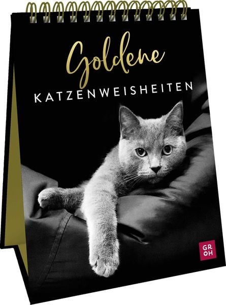 Goldene Katzenweisheiten, Gebundene Ausgabe von Groh Verlag, Groh, 9783848501267