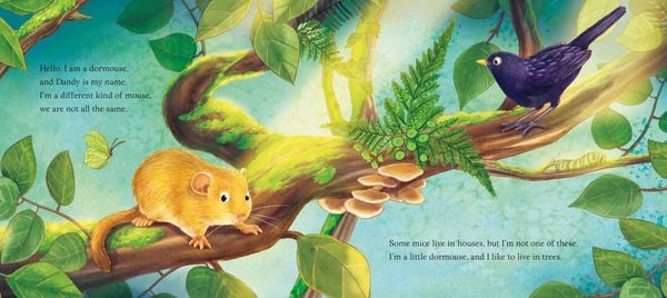 Produktbild: I am Dandy the Dormouse