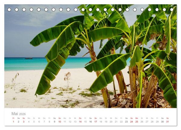 Produktbild: JAMAIKA Reggae, Rastafari und paradiesische Natur. (Tischkalender 2026 DIN A5 quer), CALVENDO Monatskalender