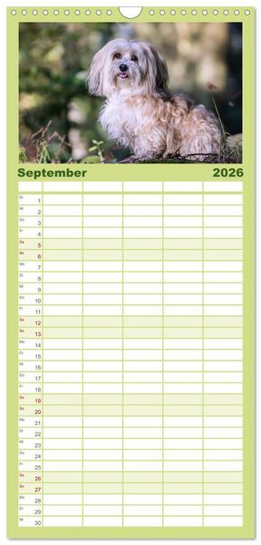 Produktbild: Familienplaner 2026 - Spa&szlig; mit Havanesern mit 5 Spalten (Wandkalender, 21 x 45 cm) CALVENDO