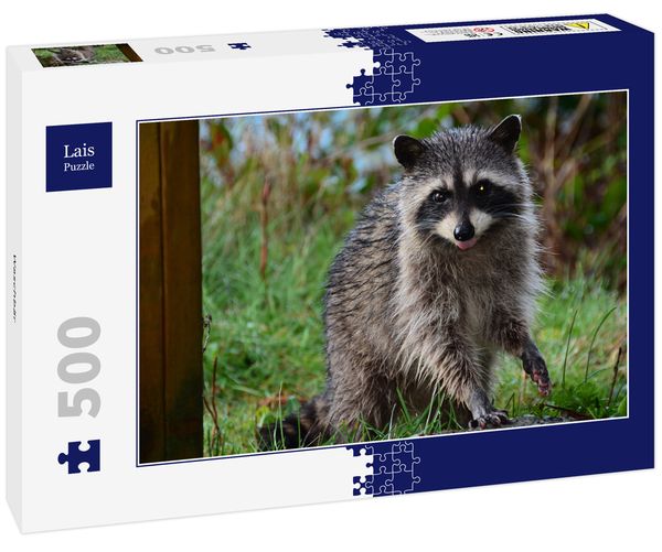Lais Puzzle Waschbär 500 Teile