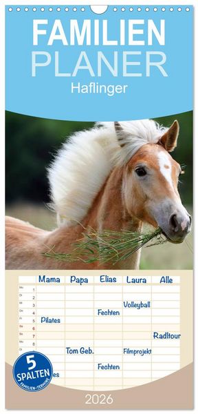 Familienplaner 2026 - Haflinger mit 5 Spalten (Wandkalender, 21 x 45 cm) CALVENDO