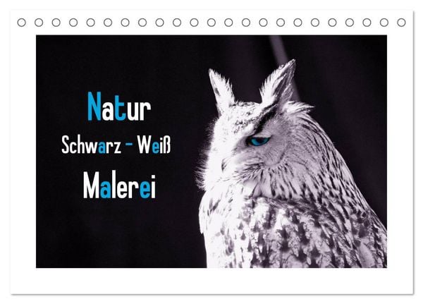 Produktbild: Natur schwarz - wei&szlig; Malerei (Tischkalender 2026 DIN A5 quer), CALVENDO Monatskalender