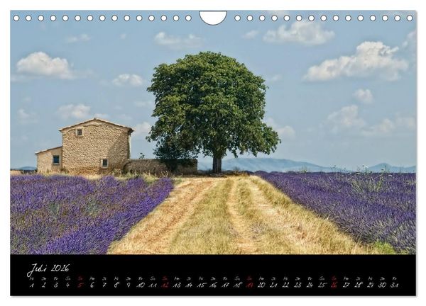 Produktbild: Provence romantique (Wandkalender 2026 DIN A4 quer), CALVENDO Monatskalender