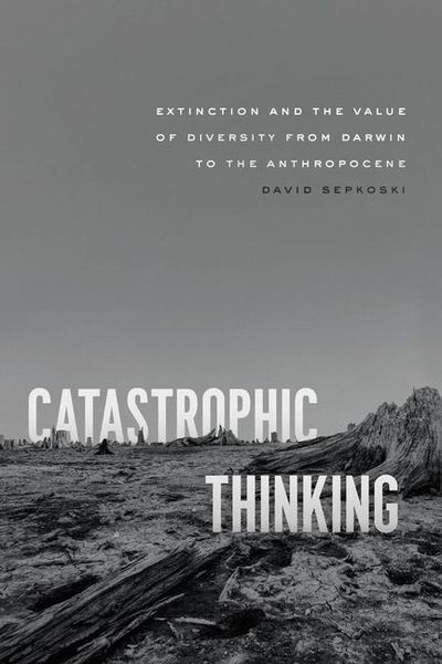Produktbild: Catastrophic Thinking