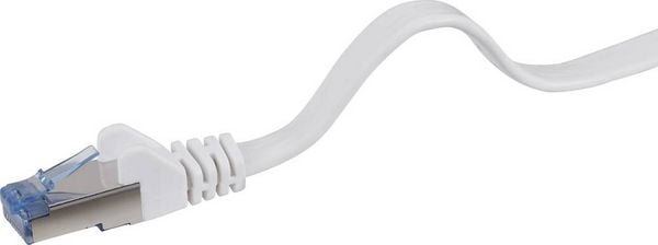 Produktbild: Renkforce RF-4149837 RJ45 Patchkabel CAT 6a U/FTP 0.50 m Grau hochflexibel, mit Rastnasenschutz, Flammwidrig 1 St.