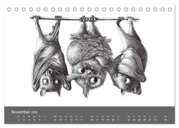 Produktbild: owls & friends 2026 (Tischkalender 2026 DIN A5 quer), CALVENDO Monatskalender