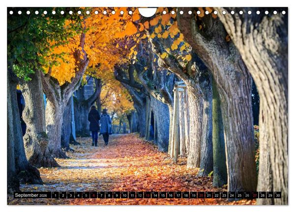 Produktbild: Bamberg - das fr&auml;nkische Rom (Wandkalender 2026 DIN A4 quer), CALVENDO Monatskalender