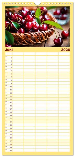 Produktbild: Familienplaner 2026 - Gesundes frisches Obst mit 5 Spalten (Wandkalender, 21 x 45 cm) CALVENDO