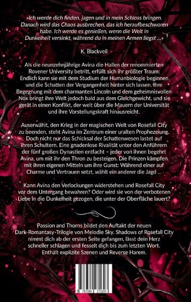 Produktbild: Shadows of Rosefall City