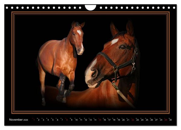 Produktbild: Traumpferde-ART-Collection (Wandkalender 2026 DIN A4 quer), CALVENDO Monatskalender
