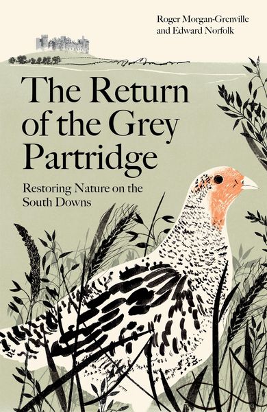 Produktbild: The Return of the Grey Partridge