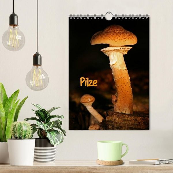 Produktbild: Pilze (Wandkalender 2027 DIN A4 hoch), CALVENDO Monatskalender