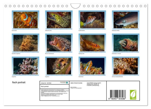 Produktbild: fisch portrait (Wandkalender 2026 DIN A4 quer), CALVENDO Monatskalender