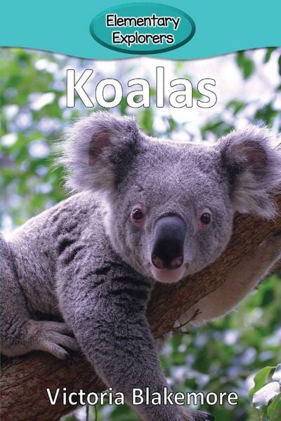 Produktbild: Koalas