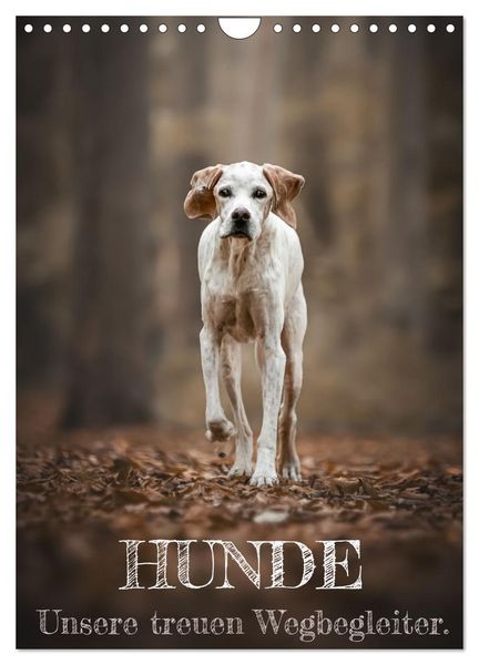 Produktbild: Hunde - Unsere treuen Wegbegleiter. (Wandkalender 2026 DIN A4 hoch), CALVENDO Monatskalender