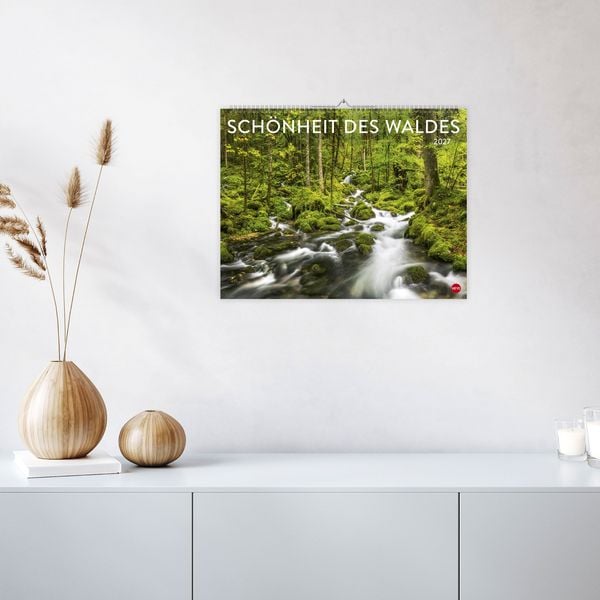 Produktbild: Sch&ouml;nheit des Waldes Posterkalender 2027