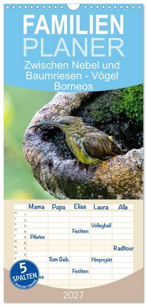 Produktbild: Familienplaner 2027 - Zwischen Nebel und Baumriesen - V&ouml;gel Borneos mit 5 Spalten (Wandkalender, 21 x 45 cm) CALVENDO