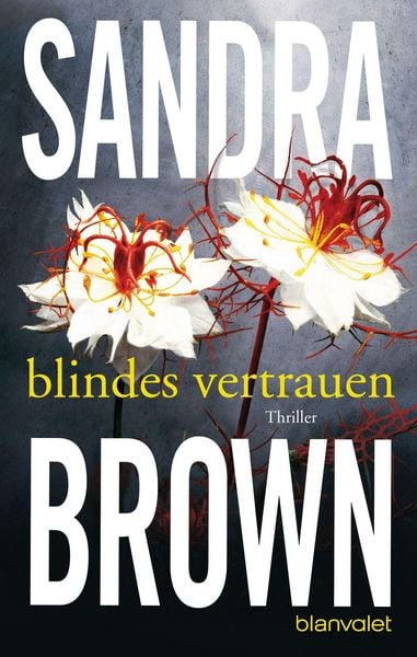 Produktbild: Blindes Vertrauen