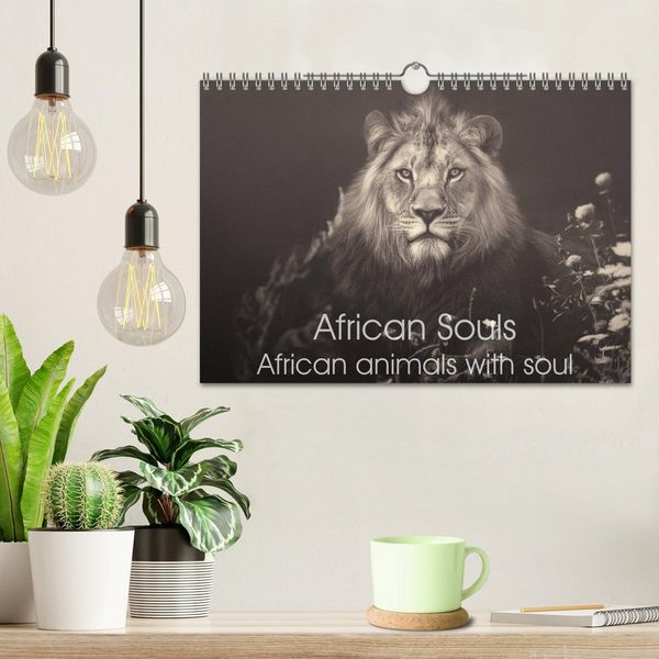 Produktbild: African Souls African animals with soul (Wall Calendar 2026 DIN A4 landscape), CALVENDO 12 Month Wall Calendar