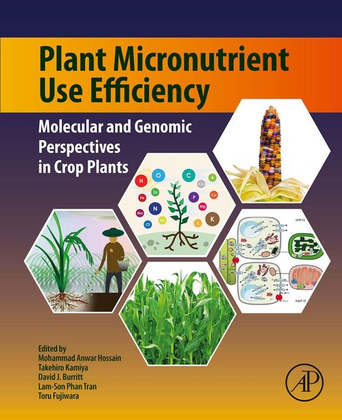 Produktbild: Plant Micronutrient Use Efficiency