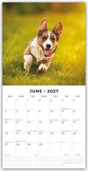 Produktbild: Welsh Corgis &ndash; Welsh Corgi 2027 &ndash; 16-Monatskalender