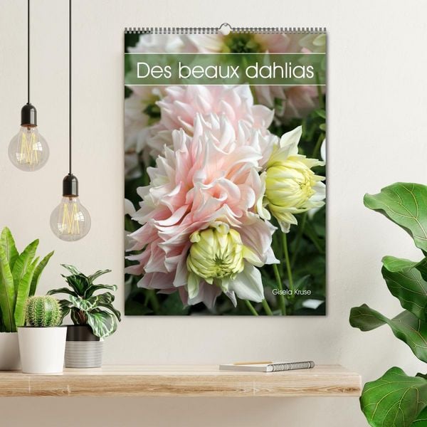 Produktbild: Des beaux dahlias (Calendrier mural 2026 DIN A2 horizontal), CALVENDO calendrier mensuel