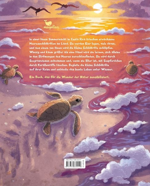 Produktbild: Die kleine Schildkr&ouml;te - Zu Hause im Meer