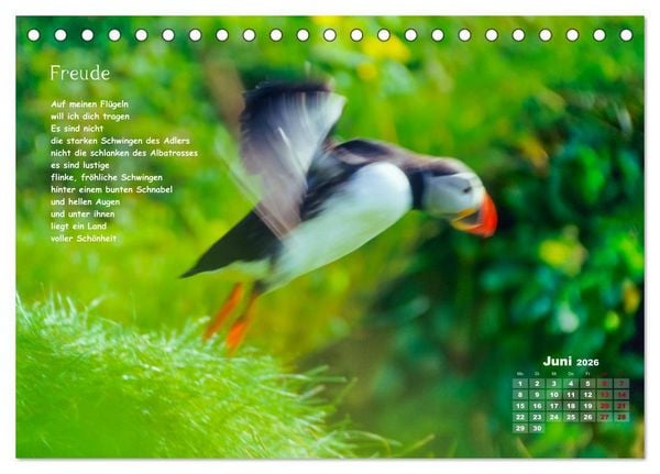 Produktbild: Lichtblicke f&uuml;r Auge und Seele - Der Kalender (Tischkalender 2026 DIN A5 quer), CALVENDO Monatskalender