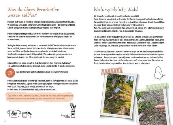 Meine wilden Kräuterfreunde aus dem Wald