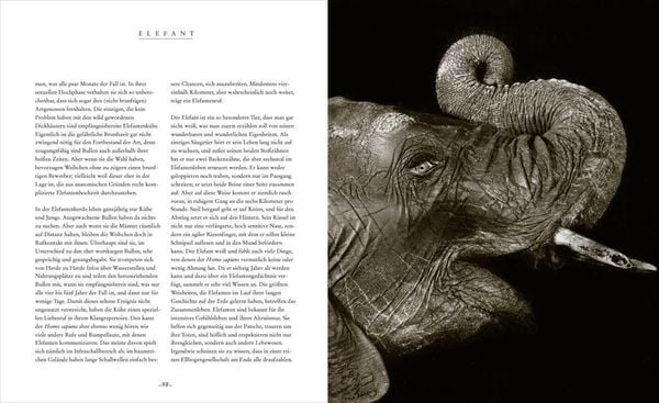 Die Seele der Tiere. Gesichter. Gefühle. Geschichten