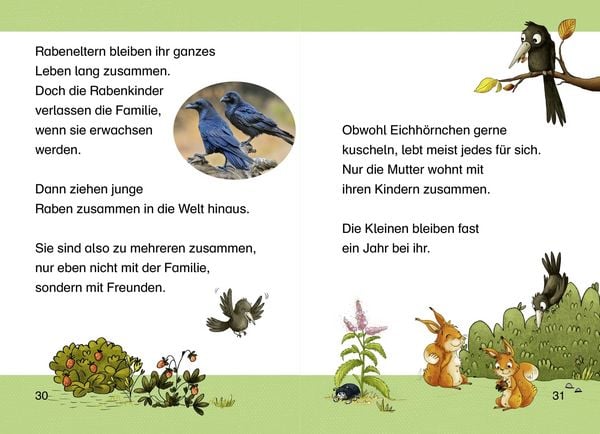 Produktbild: Komm mit uns in den Wald