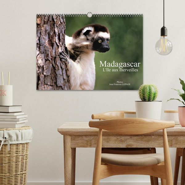 Produktbild: Madagascar L'&icirc;le aux merveilles (Calendrier mural 2026 DIN A3 vertical), CALVENDO calendrier mensuel
