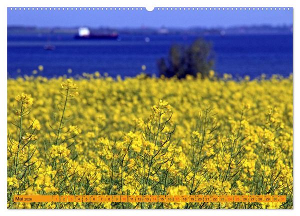Produktbild: Wismarer Bucht - Impressionen zwischen Kl&uuml;tzer Winkel und der Insel Poel (Wandkalender 2026 DIN A2 quer), CALVENDO Monatskalender