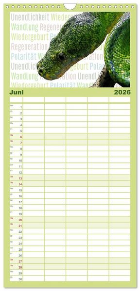 Produktbild: Familienplaner 2026 - Mein wildes Krafttier voller Achtsamkeit mit 5 Spalten (Wandkalender, 21 x 45 cm) CALVENDO