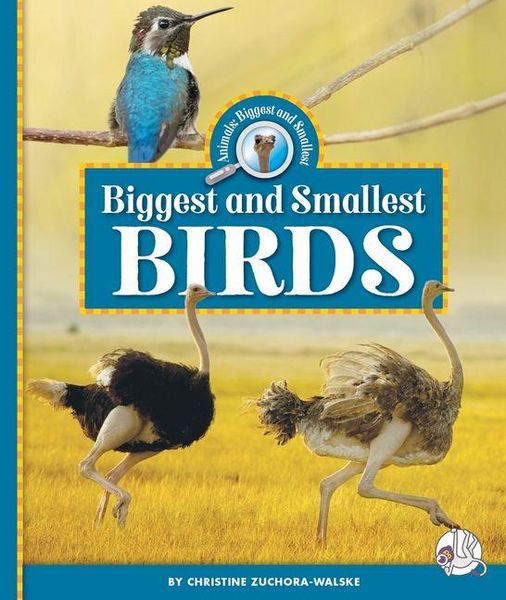 Produktbild: Biggest and Smallest Birds