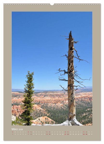 Produktbild: Erlebe mit mir den Bryce Canyon Nationalpark (hochwertiger Premium Wandkalender 2026 DIN A2 hoch), Kunstdruck in Hochglanz