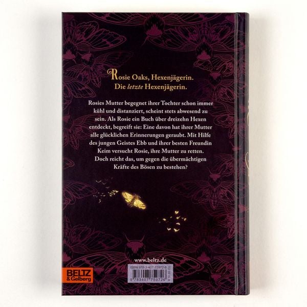Produktbild: Thirteen Witches - Die Erinnerungsdiebin