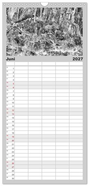 Produktbild: Familienplaner 2027 - Afrika Schwarz - Weiss mit 5 Spalten (Wandkalender, 21 x 45 cm) CALVENDO