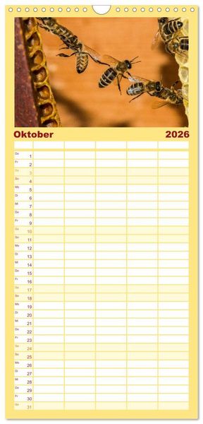 Produktbild: Familienplaner 2026 - Bienenkalender mit 5 Spalten (Wandkalender, 21 x 45 cm) CALVENDO