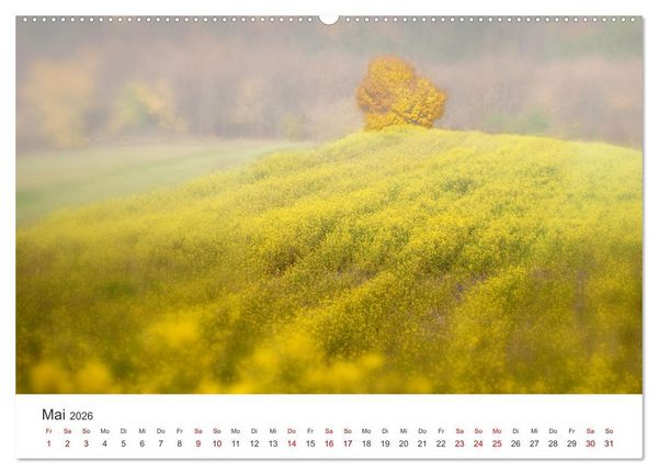 Produktbild: B&auml;ume - Gelebtes Leben (hochwertiger Premium Wandkalender 2026 DIN A2 quer), Kunstdruck in Hochglanz