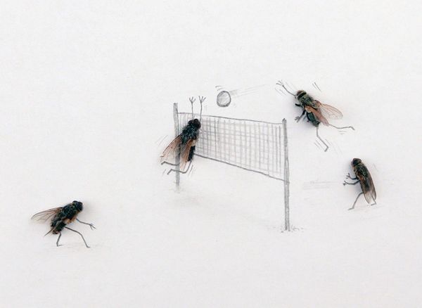 Produktbild: Das geheime Leben der Fliegen