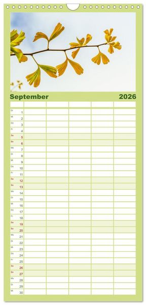 Produktbild: Familienplaner 2026 - Mit Ginkgo biloba durch das Jahr mit 5 Spalten (Wandkalender, 21 x 45 cm) CALVENDO