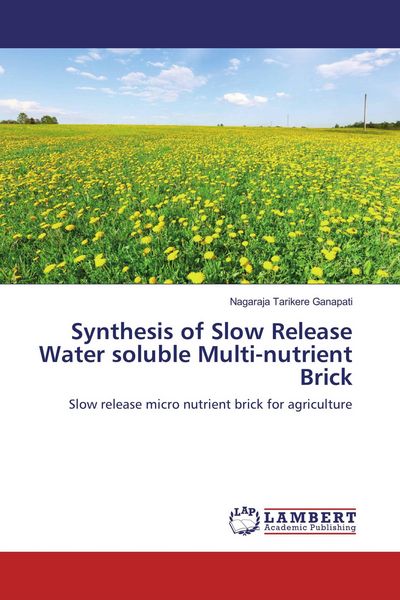 Produktbild: Synthesis of Slow Release Water soluble Multi-nutrient Brick