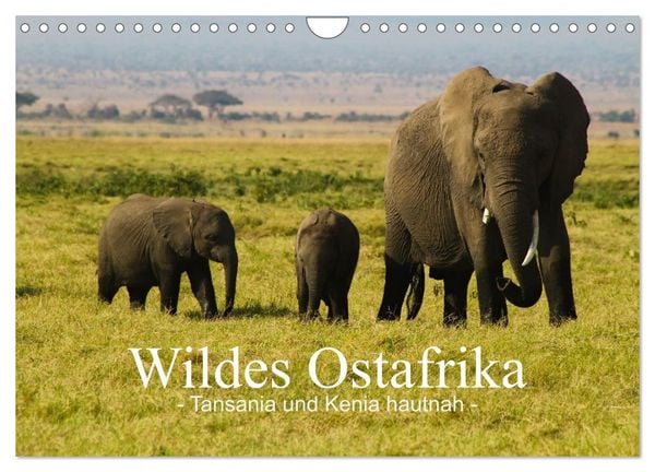 Produktbild: Wildes Ostafrika - Tansania und Kenia hautnah (Wandkalender 2026 DIN A4 quer), CALVENDO Monatskalender