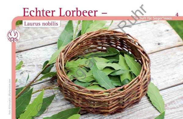 Produktbild: Aromapflege f&uuml;r Menschen mit Demenz