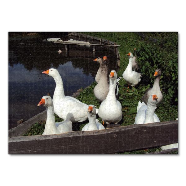 Produktbild: Lais Puzzle G&auml;nse 1000 Teile