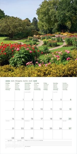 Produktbild: Aufgebl&uuml;ht - KUNTH Broschurkalender 2027